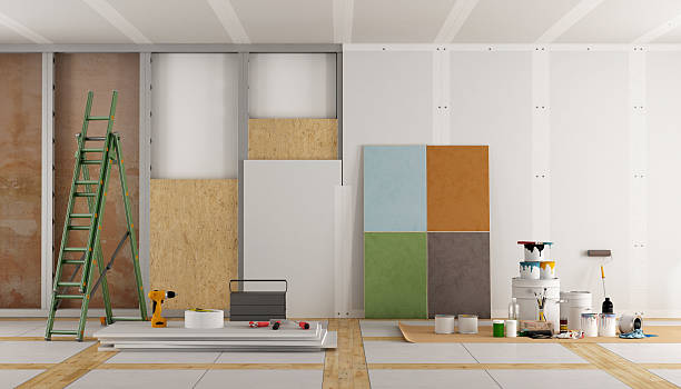 Best Mold Odor Removal Services  in Radisson, NY