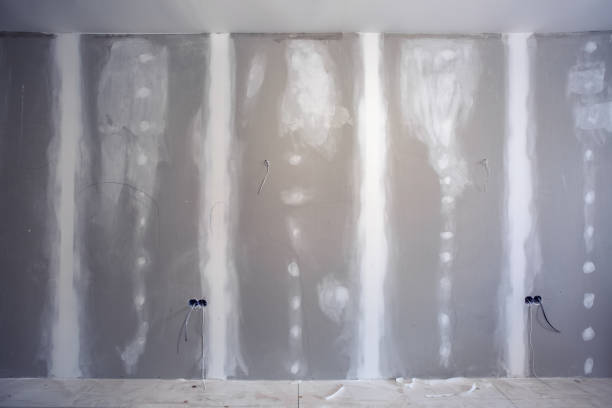 Mold Removal for HVAC Installations in Radisson, NY